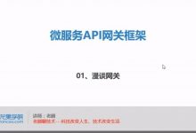 龙果学院：微服务Api网关框架，老顾主讲58章完整版下载-VIPC6资源网