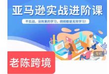 老陈跨境:亚马逊实战进阶,FBA运营实操视频课-VIPC6资源网