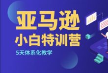 亚马逊小白特训营第9期,0基础学跨境电商视频培训-VIPC6资源网