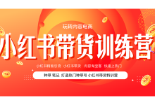 玩转内容电商小红书带货训练营,引流推广课程网盘下载-VIPC6资源网