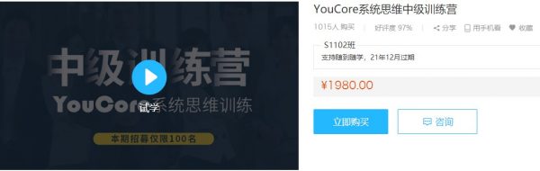 YouCore系统思维中级训练营