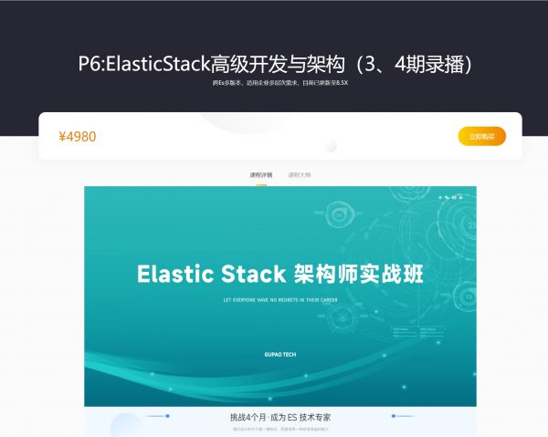 P6:ElasticStack高级开发与架构