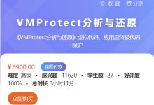 VMProtect分析与还原，虚拟代码、应用层终极代码保护，视频+资料-VIPC6资源网