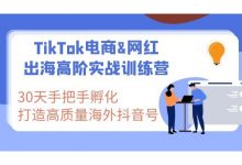 Tiktok跨境带货教程:打造高质量国际版抖音账号视频教程-VIPC6资源网