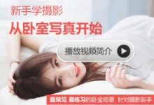 5套蚂蚁摄影教程合集,新手必学的大白话摄影课-VIPC6资源网