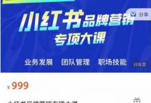 2023小红书品牌营销专业大课,品牌医生操盘手课程-VIPC6资源网
