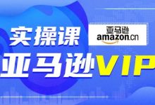 跨境电商Amazon运营零基础到高阶培训:亚马逊VIP系统实操精品课程-VIPC6资源网