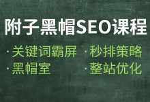 附子黑帽SEO课程:7天掌握SEO核心排名技术(关键词霸屏\黑帽室\秒排策略\整站优化)-VIPC6资源网