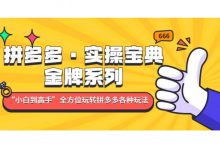 拼多多·实操宝典:金牌系列“小白到高手”带你全方位玩转拼多多各种玩法-VIPC6资源网