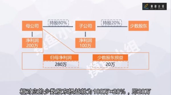 摸鱼财报分析入门课程 视频截图