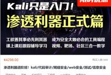 掌控安全渗透利器进阶班(kali/代码审计/网络安全/web安全/测试/信息安全)-VIPC6资源网