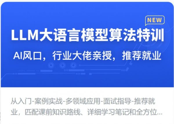LLM大语言模型算法特训 带你转型AI大语言模型算法工程师