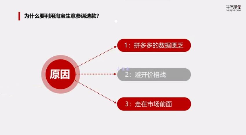 拼多多实战运营指南 视频截图