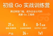 初级Go工程师实战训练营,21周完整版(63G)-VIPC6资源网