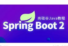 尚硅谷Java教程:Spring Boot2核心技术与响应式编程视频-VIPC6资源网