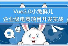 Vue3.0小兔鲜儿前端企业级电商项目实战 视频+资料41G 价值599元