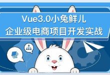 Vue3.0小兔鲜儿前端企业级电商项目实战 视频+资料41G-VIPC6资源网