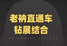 淘宝店铺运营推广课程:老衲直通车钻展结合-VIPC6资源网