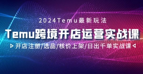 2024Temu跨境开店运营实战课