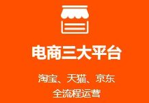 达内培训:高级电商运营,覆盖:京东、天猫、淘宝,14天培训完整版课程-VIPC6资源网