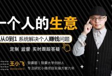 王小飞一个人的生意,38节系统解决个人赚钱课程-VIPC6资源网