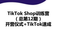 22年新版TikTok Shop训练营,TikTok出海抢占全球新流量速成-VIPC6资源网