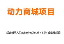动力商城项目:SpringCLoud+SSM企业级项目实战视频+资料-VIPC6资源网