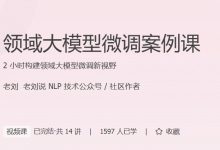 领域大模型微调案例课 14讲完整视频课程-VIPC6资源网
