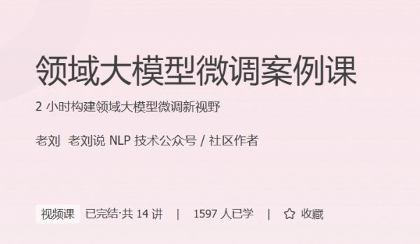 领域大模型微调案例课