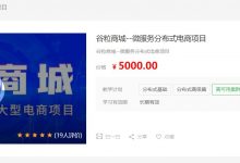 2020最新版:谷粒商城-微服务分布式电商项目(基础+高级+集群),完整版下载-VIPC6资源网