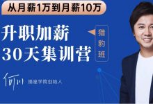 2020何川升职加薪30天训练营+60天团队管理训练营-VIPC6资源网