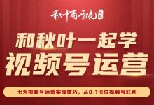 2020微信视频号流量红利期,秋叶从0到1学视频号七大运营实操-VIPC6资源网