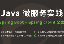 思否编程(小马哥)：Java 微服务实践 - Spring Boot / Spring Cloud全套，完整版下载-VIPC6资源网