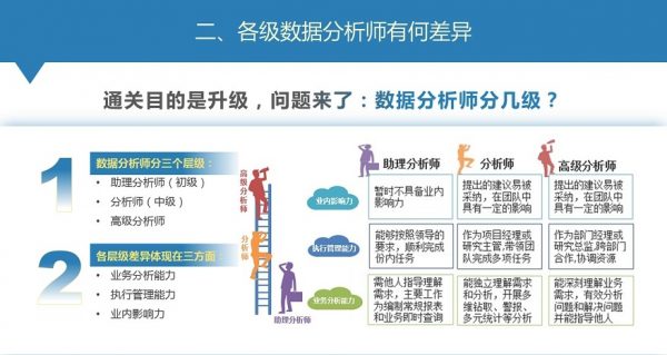 数据剖析师分级