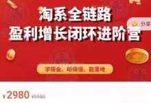 桐策电商学院:淘系全链路,盈利增长闭环进阶实战训练营-VIPC6资源网