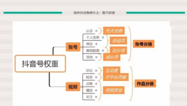 TikTok电商&网红出海高阶实战训练营 视频截图