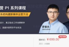 新媒体运营培训系列课程(P1+P2),罗崇杰新媒体能力进阶课,百度云下载-VIPC6资源网