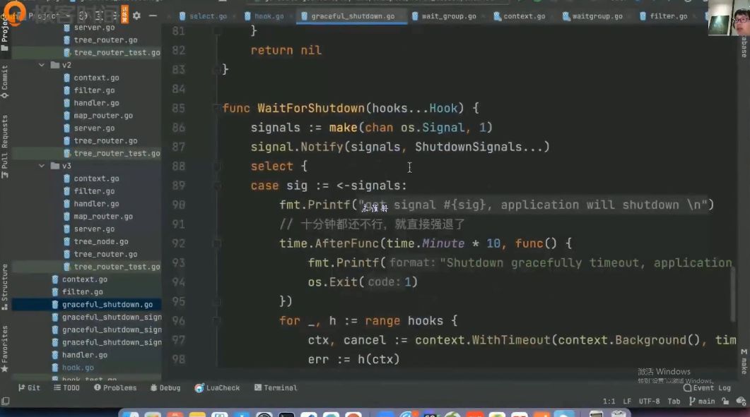 Go进阶训练营 视频截图