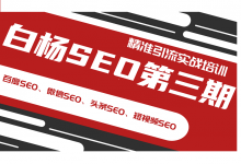 白杨SEO第三期教程,2020最新网站优化+精准引流课程网盘下载-VIPC6资源网