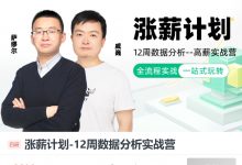 数据分析师涨薪计划,12周数据分析实战营(50G)-VIPC6资源网