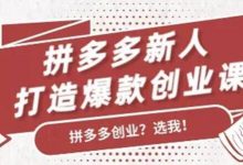 拼多多新人打造爆款分享课,小吴老师拼多多创业视频课-VIPC6资源网