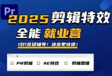 PR剪辑特效1对1就业营,2025春季班-VIPC6资源网