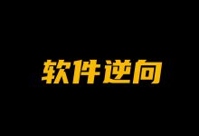 天野:软件逆向破解实战29期,基础到实战-VIPC6资源网