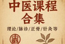 58套中医课程合集，理论/脉诊/正骨/针灸等(889G)-VIPC6资源网