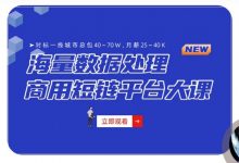 微服务架构-海量数据商用短链平台项目大课(视频+资料)-VIPC6资源网