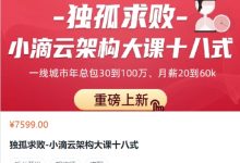 独孤求败：小滴云架构大课十八式，视频+资料-VIPC6资源网