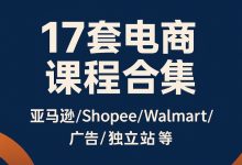 17套电商课程合集,亚马逊/Shopee/Walmart/广告/独立站等-VIPC6资源网