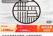 灯鱼·无为法直通车:彻底精通淘宝直通车视频课程-VIPC6资源网