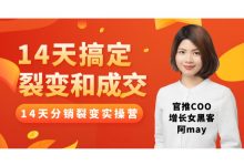 14天搞定裂变与成交,增长女黑客阿may实操课程 百度云下载-VIPC6资源网