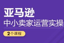 中小卖家亚马逊运营实操,选品·试营·团队管理-VIPC6资源网